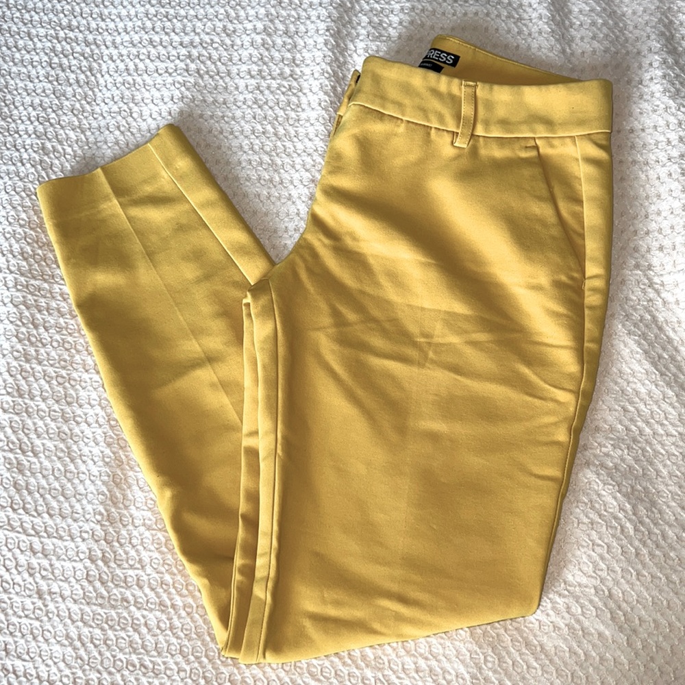 Express dress pant